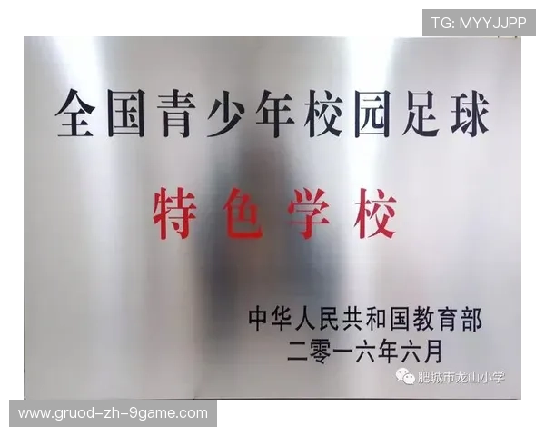 特色“足球+旅游+文化”产业融合示范区在行业内持续推广,足球特色园试点工作总结报告