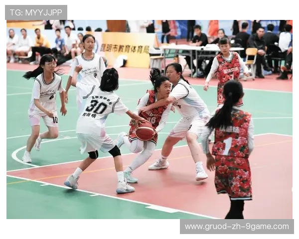 篮球职业联赛赛程优化促进赛事观赏性,打篮球职业联赛